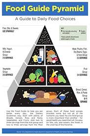 Amazon Com Usda My Food Pyramid For Kids Nutrition Diet