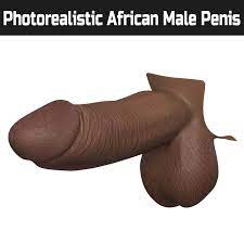 African Male Penis - 3D Model by Cgtools