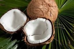 Is coconut oil a tree nut?