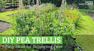 Diy Pea Trellis Ideas 7 Easy Ways To