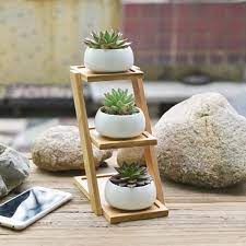 White Ceramic Flower Pots With Bamboo