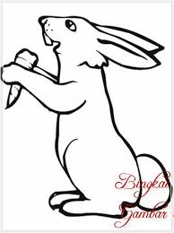 30 gambar sketsa kelinci yang mudah terlengkap duniasket. Kumpulan Contoh Gambar Sketsa Kelinci Lucu Informasi Masa Kini