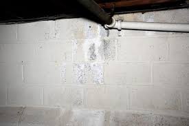 White Stuff On My Basement Walls