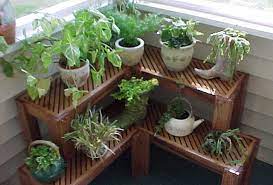 indoor herb garden apartment herb