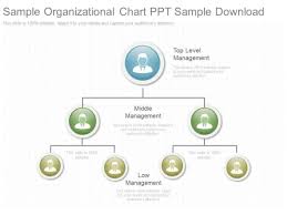 Sample Organizational Chart Ppt Sample Download Powerpoint