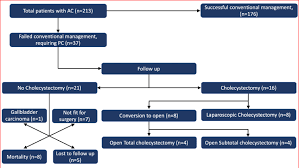 flow diagram demonstrating outcomes of