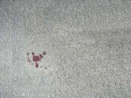 blood stain on carpet superior floor