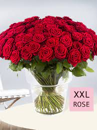 100 rosen kaufen