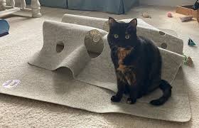ripple rug cat activity mat review