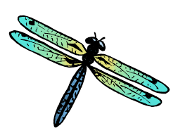 easy dragonfly drawing 4 steps