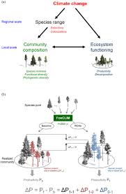 Long Term Response Of Forest Productivity To Climate Change