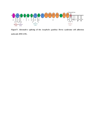 Berikut beberapa yayasan yang menyediakan loker untuk pt epson yang sudah. The Role Played By Alternative Splicing In Antigenic Variability In Human Endo Parasites Parasites Vectors Full Text