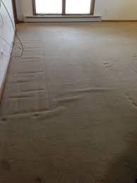 indianapolis carpet repair