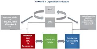 Changing Roles And Skill Sets For Chief Medical Officers