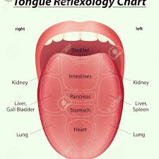 Ayurvedic Tongue Analysis Ayurvedic Digestive Health