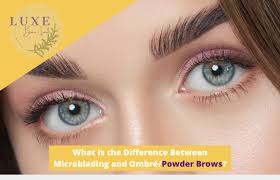 powder brows