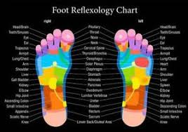 Details About Reflexology Labeled Foot Chart Holistic Health Educational Poster 12x18 24x36