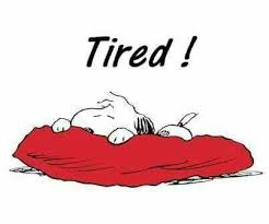 Image result for tired