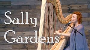 sally gardens harp voice christy