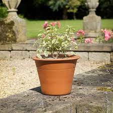 Yorkshire Flowerpots Harrogate Pot
