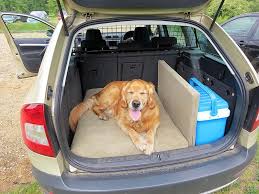 15 Best Dog Beds For Trucks Healthy
