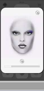grayscale makeup face charts apk for