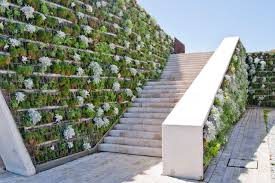Odu Green Roof Vertical Gardens