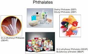 cosmetic phthalates health