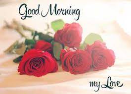 These good morning messages are best wishes for your loved one morning always best to start the day. Good Morning Love Flowers To My Wife Hutomo