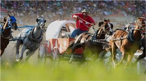 Hours, address, calgary stampede reviews: Tickets Admission Calgary Stampede