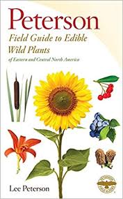 Flower bud clusters can be cooked as vegetable. A Peterson Field Guide To Edible Wild Plants Eastern And Central North America Peterson Roger Tory Peterson Roger Tory Peterson Lee Allen 8580001043999 Books Amazon Ca