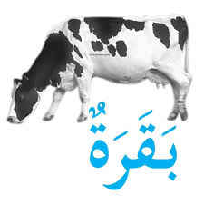 Nama haiwan dalam bahasa arab. Jom Kenali Haiwan Dalam Bahasa Arab Nota Bahasa Arab Facebook