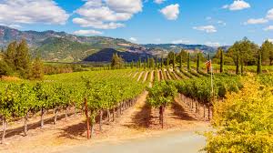 things to do with the kids in napa valley