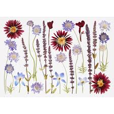 Real Pressed Flowers Giclee Art