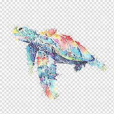 Sea Turtles Turtles Tortoise M Sea