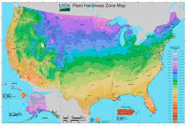 planting zones hardiness zones