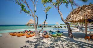 Coco Plum Island Resort gambar png