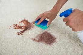 carpet stain removal guide 10 stains