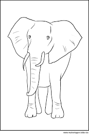 Referat elefant bilderzum ausmalen / das grosste und schwerste tier der welt nube : Elefant Ausmalbild Zum Ausdrucken