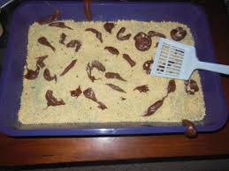 We purchased the best cat litters for kittens on the market today. Recipe Reveal Kitty Litter Cake Expect The Unexpected