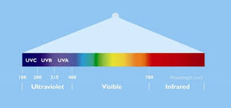 ultraviolet germicidal uv c light