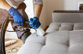 how much does upholstery cleaning cost