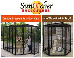 outdoor cat enclosures custom build