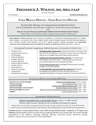 Executive Summary Resume Example Resume Writing  Career Coaching and Outplacement
