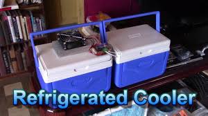 diy peltier fridge air cooler w