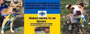 E.N.P.A. Torino - Posts | Facebook