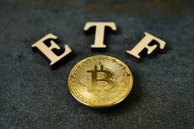 This is possible, but others also the paths that the sec can take regarding the creation of a fund quoted in cryptocurrencies are: Will Vaneck S Bitcoin Trust Become The First Bitcoin Etf Etf Trends