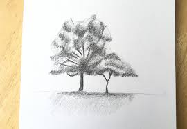 how to draw a tree step by step gathered