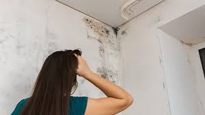mouldy walls here s what not to do