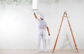 How To Remove Mould From Walls Before
